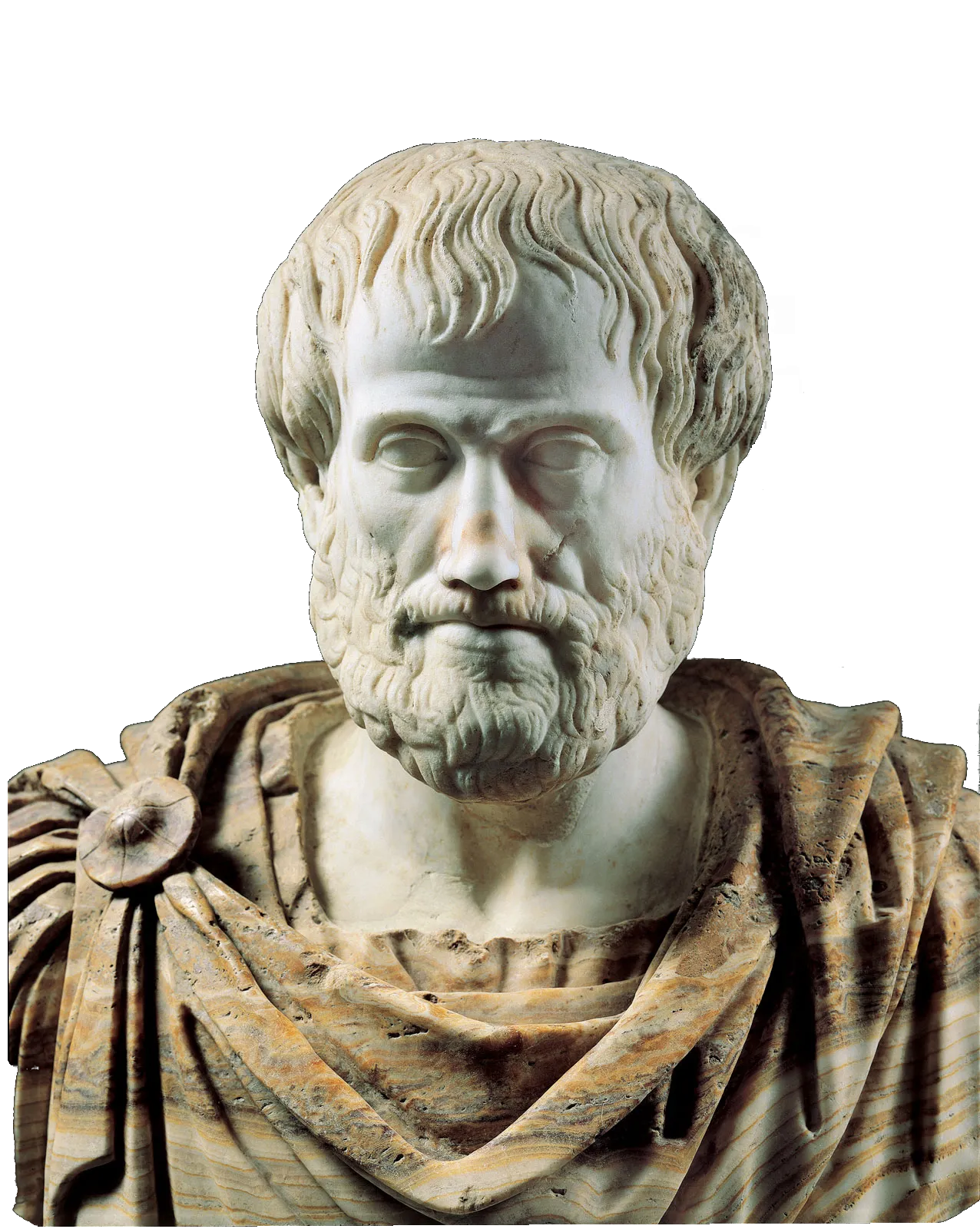 Aristotle